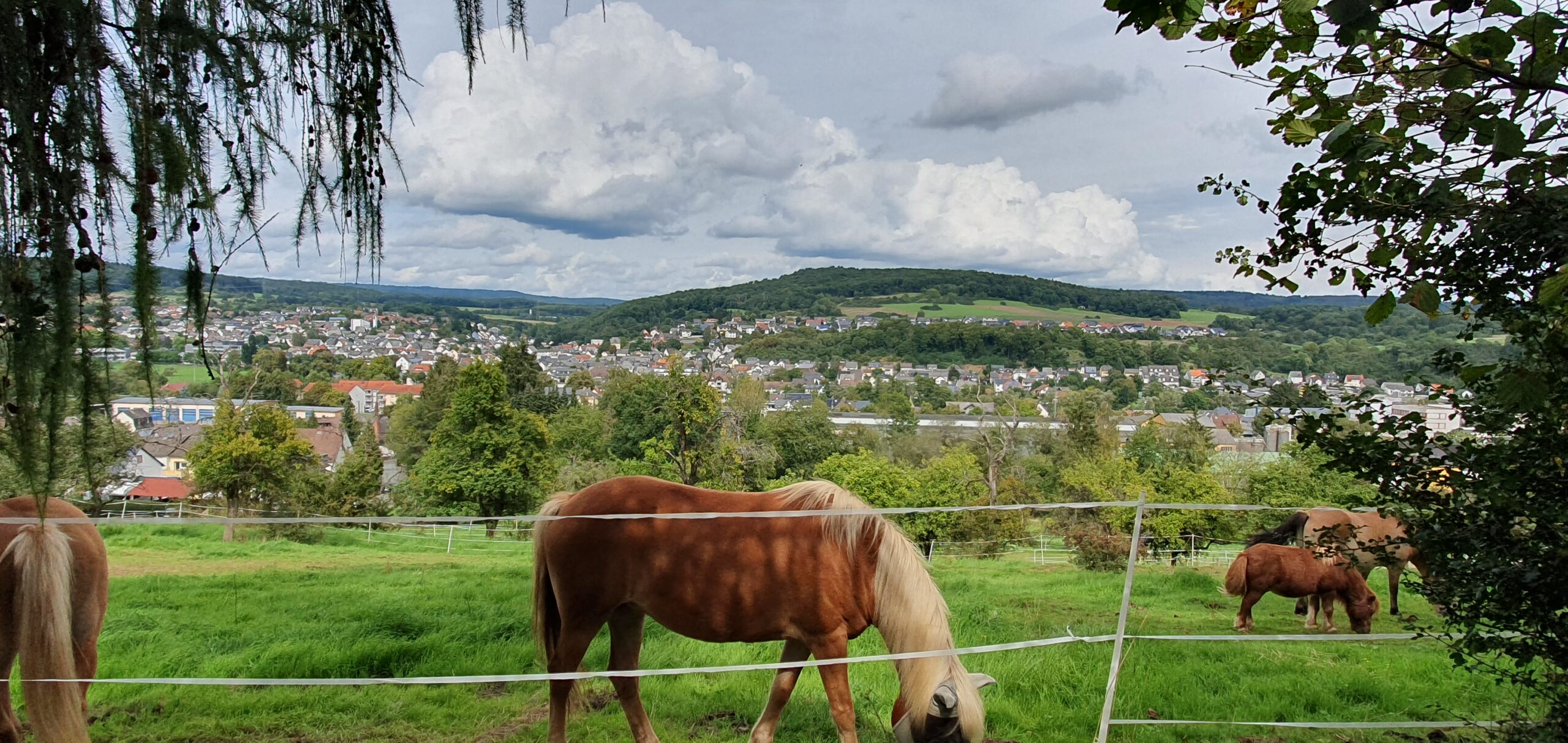 230829-startbild ehringshausen