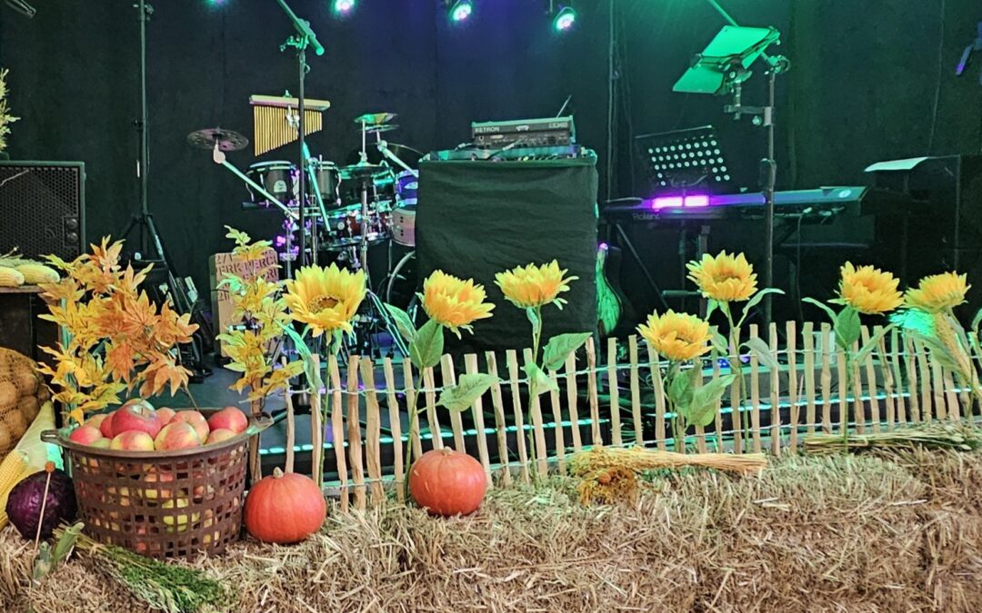 SCHÖN WAR´S IM GRÜNEN HIRSCH