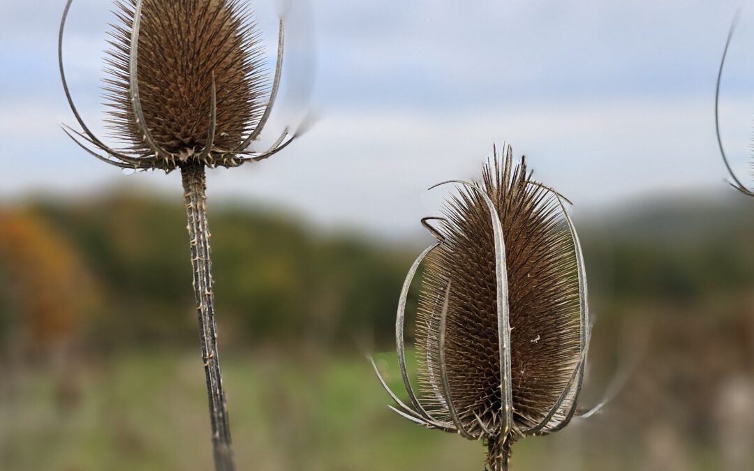 START IN DEN NOVEMBER